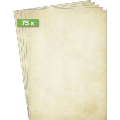 Stos 75 zabytkowych arkuszy papieru o lekko brązowym, postarzałym wyglądzie.