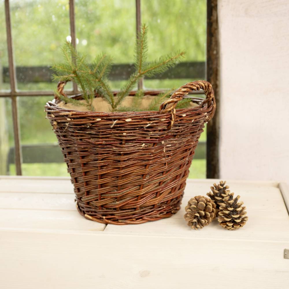 Wiklinowy kosz z małymi sadzonkami świerków na drewnianym stole, obok dwóch szyszek, przed oknem.