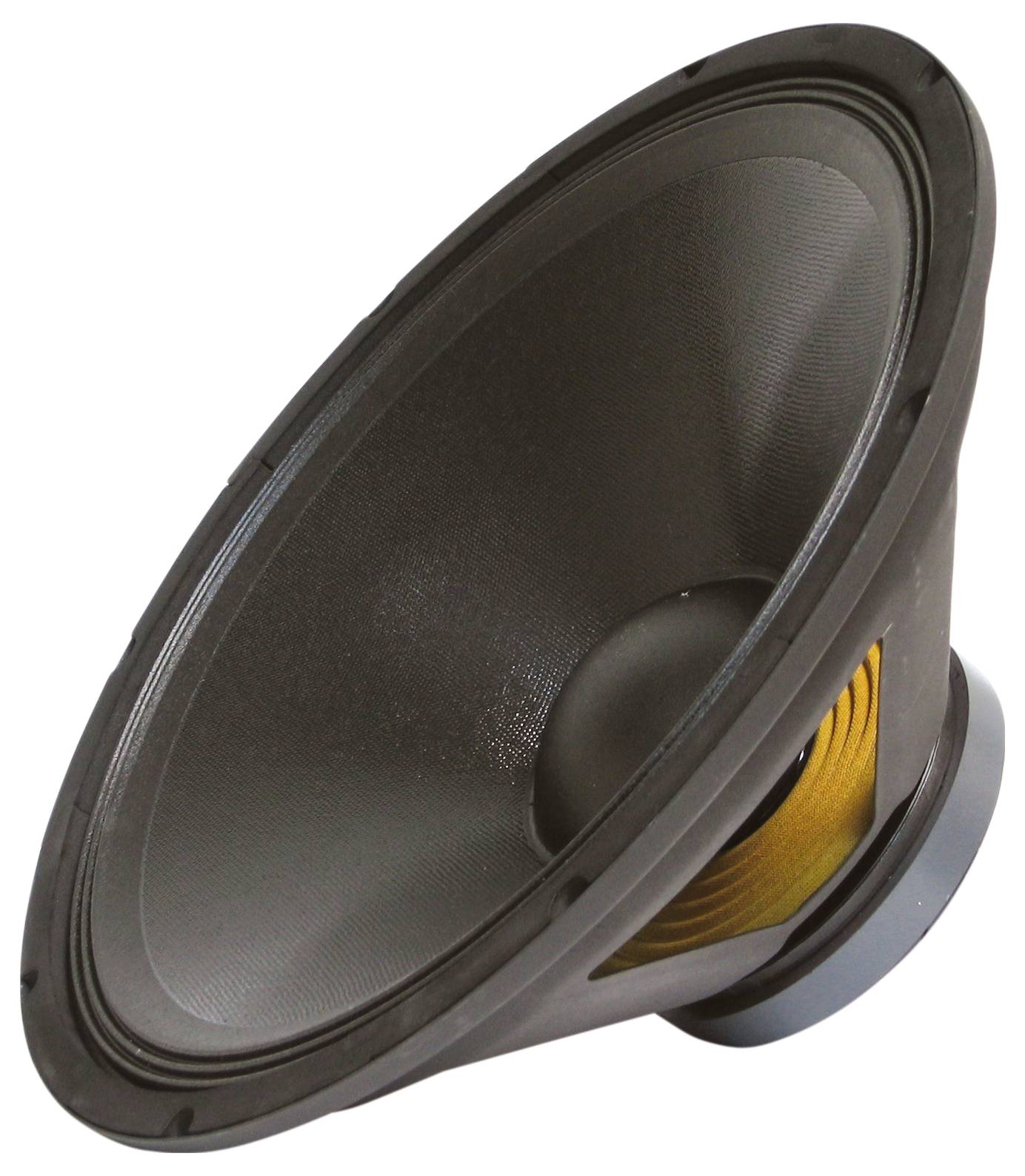 Сабвуфер Sintron 203379 PA чорний