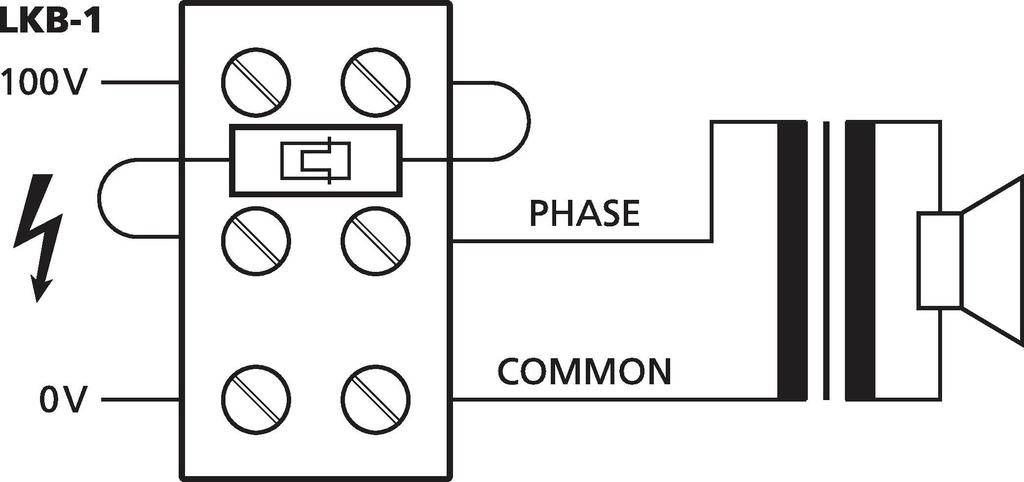 Schemat elektryczny przedstawia 'LKB-1' z wejściem 100V, 0V, fazą i wspólnym przewodem. Podłączony do głośnika. Główne komponenty są oznaczone kolorami.