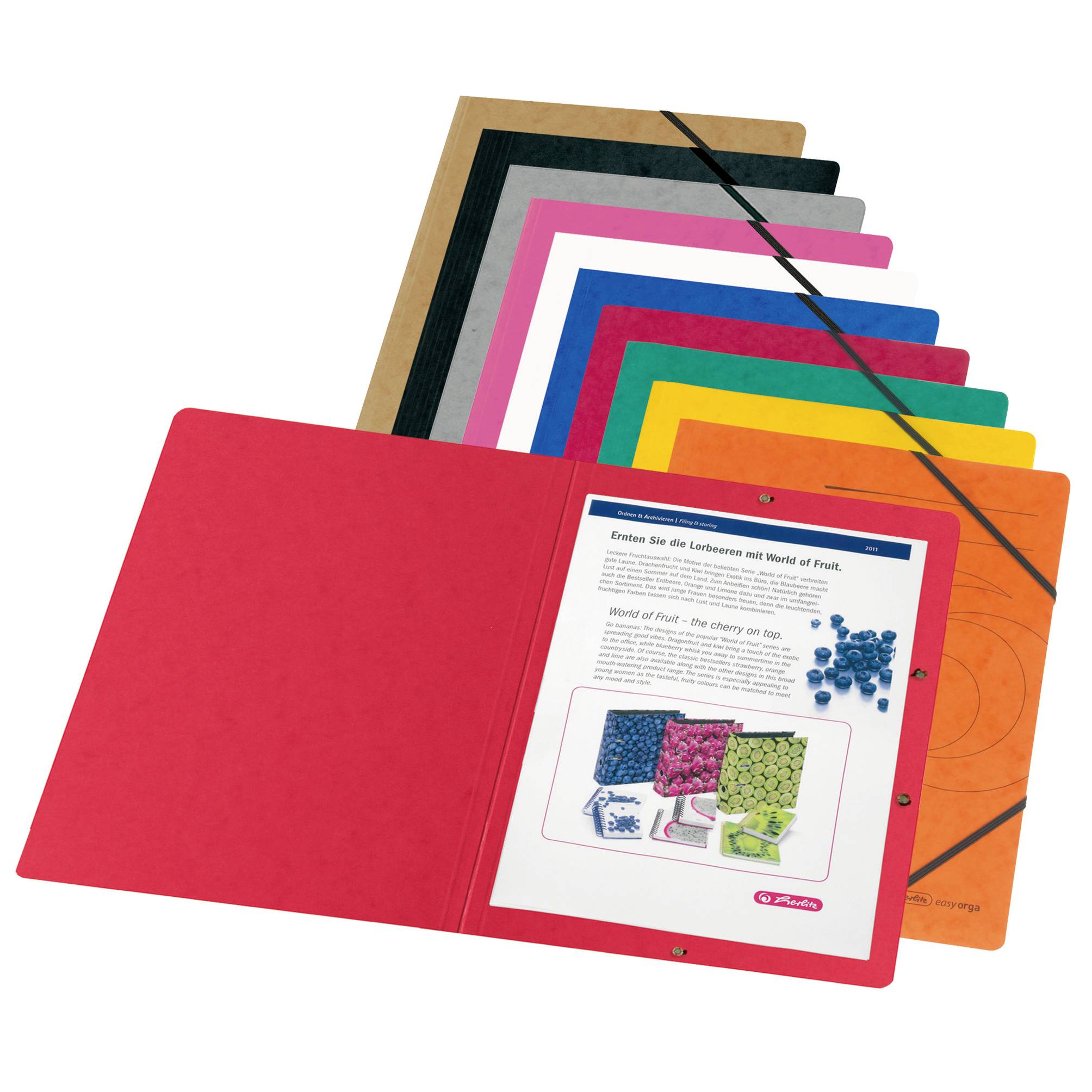 Segregator z kolorowymi okładkami oraz otwarty segregator z wydrukowanym dokumentem o owocach. Segregatory mają elastyczne opaski.