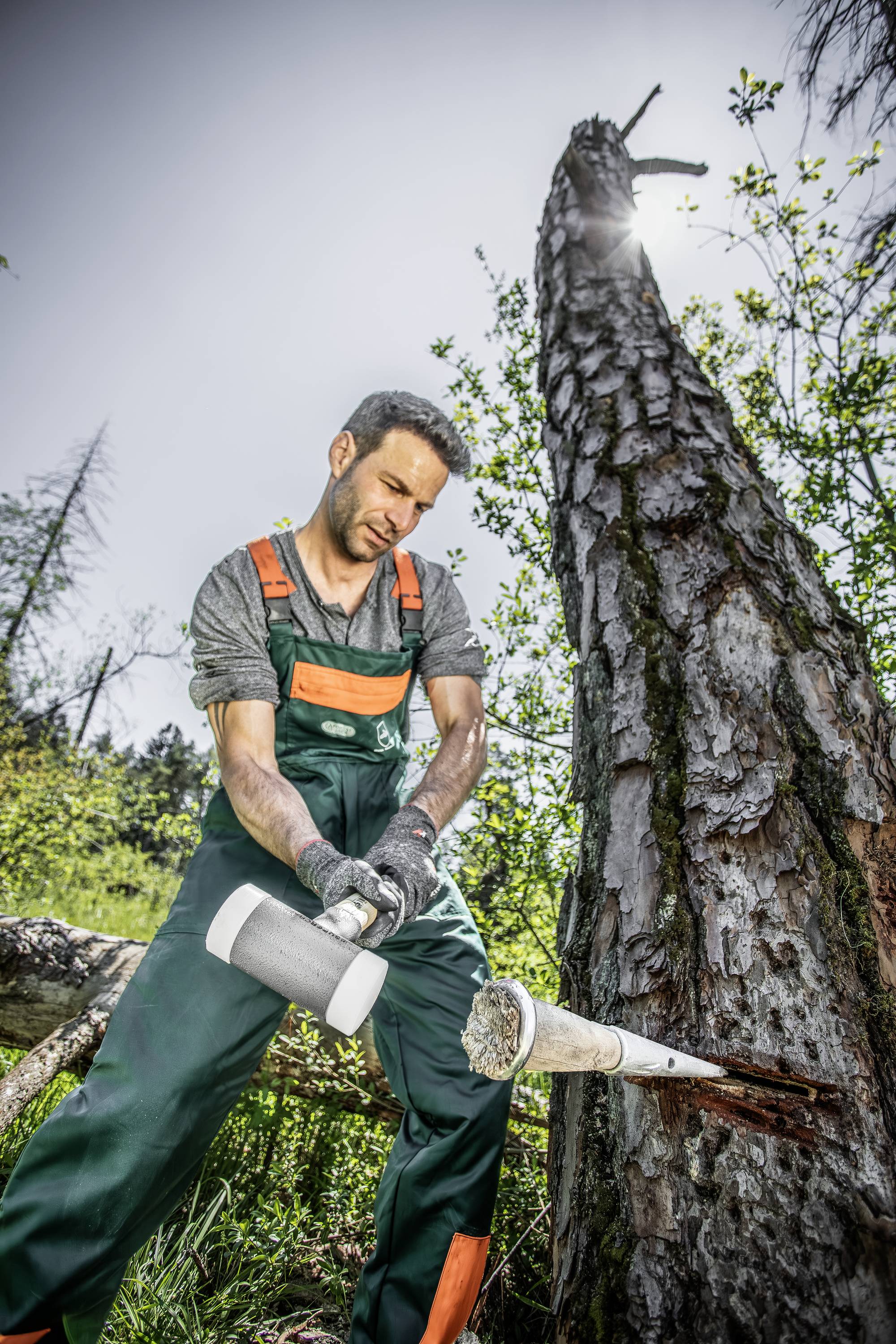 Mężczyzna w ubraniu roboczym używa narzędzia, aby piłować pień drzewa w lesie. Światło słoneczne prześwieca przez drzewa.