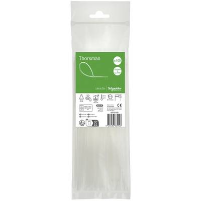 Schneider Electric IMT46409 Opaska kablowa 200 mm 2.5 mm Środek zmniejszający palność, z zamkiem zatrzaskowym 100 szt.-0