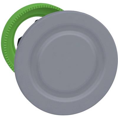 Schneider Electric ZB5FSCUST01 Zaślepka 1 szt.-0