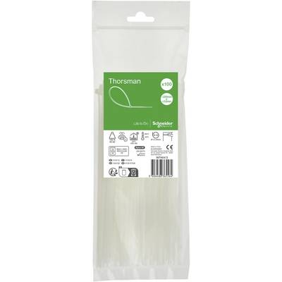 Schneider Electric IMT46413 Opaska kablowa 100 szt.-0