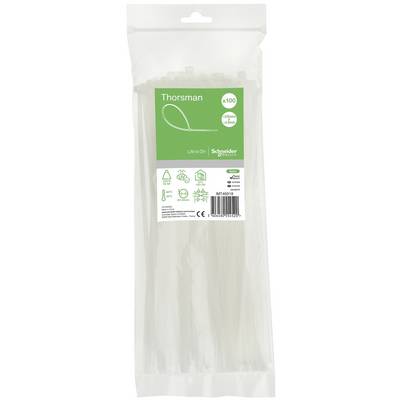 Opaska kablowa Schneider Electric IMT46415, 250 mm, poliamid 6.6, 100 szt.-3