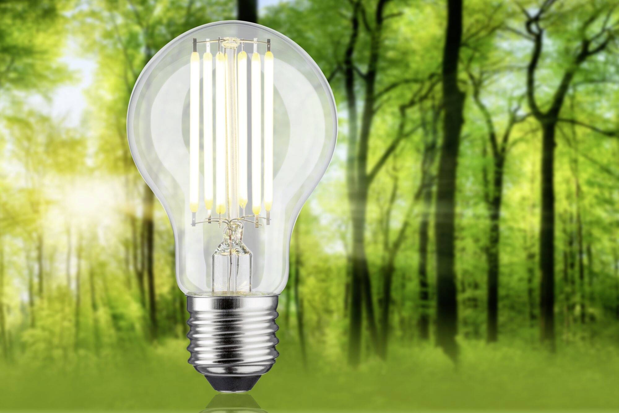 Żarówka świeci na tle drzew i słońca, symbolizując efektywność energetyczną i harmonię z naturą.