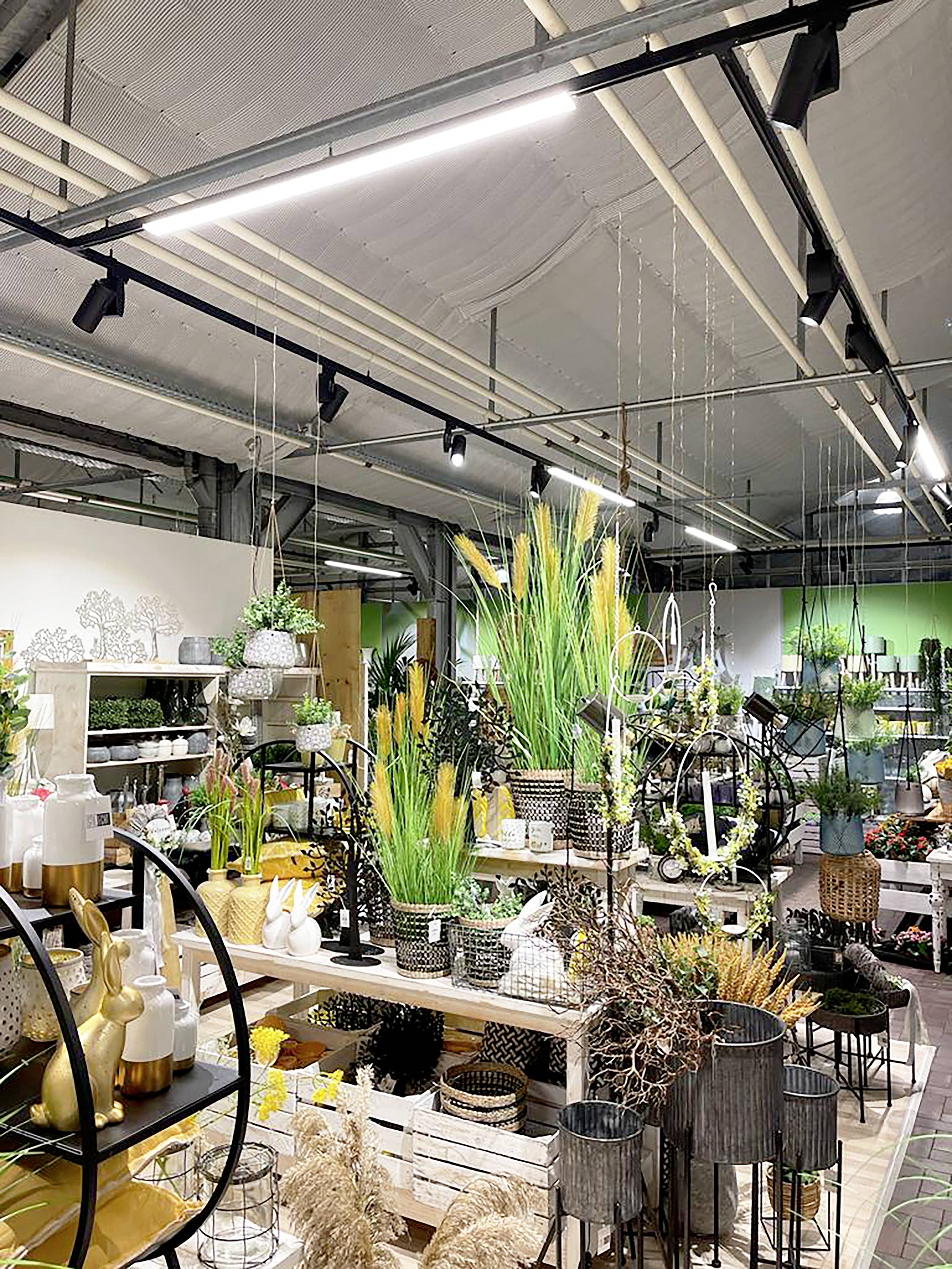 Dobrze oświetlony sklep z kwiatami z różnorodnością zielonych roślin i żółtych kwiatów, otoczony regałami i elementami dekoracyjnymi.