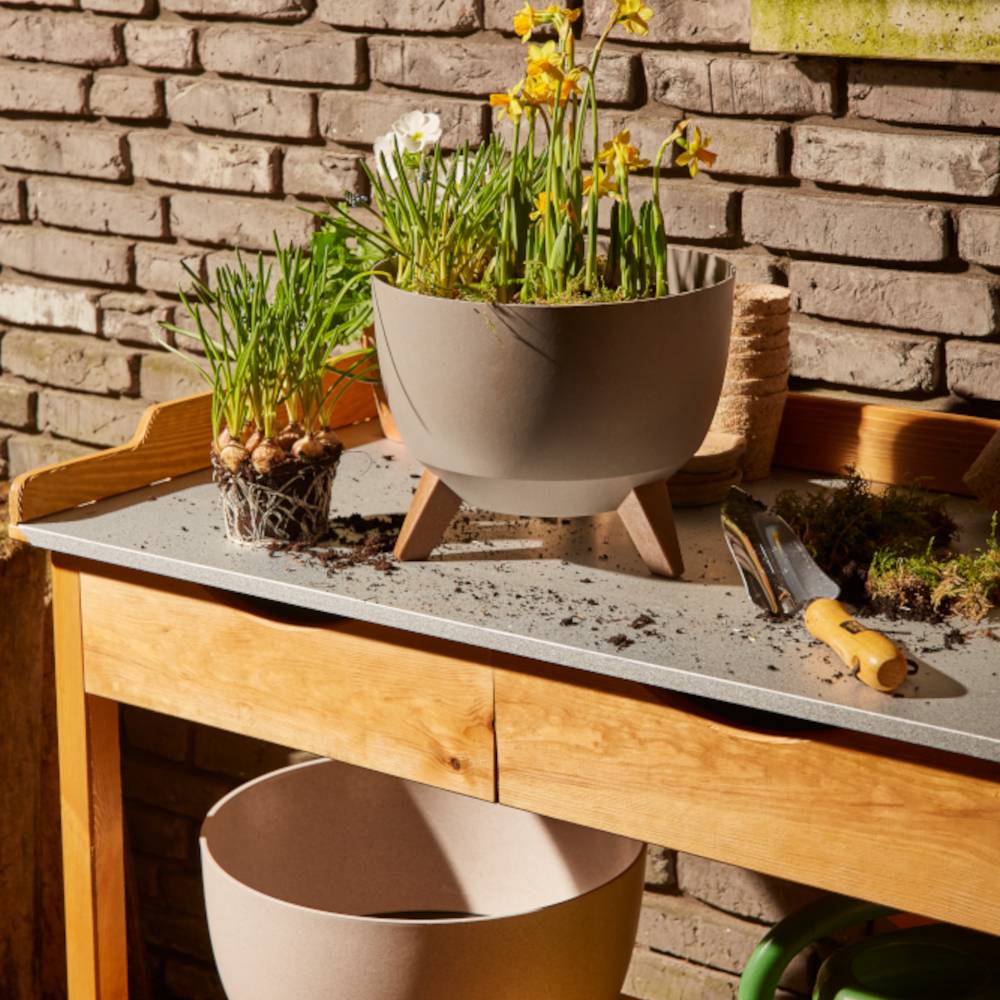 Stolik do sadzenia z doniczkami, ziemią i narzędziami ogrodniczymi. Żółte narcyzy kwitną w jednej z doniczek. W tle ceglany mur.