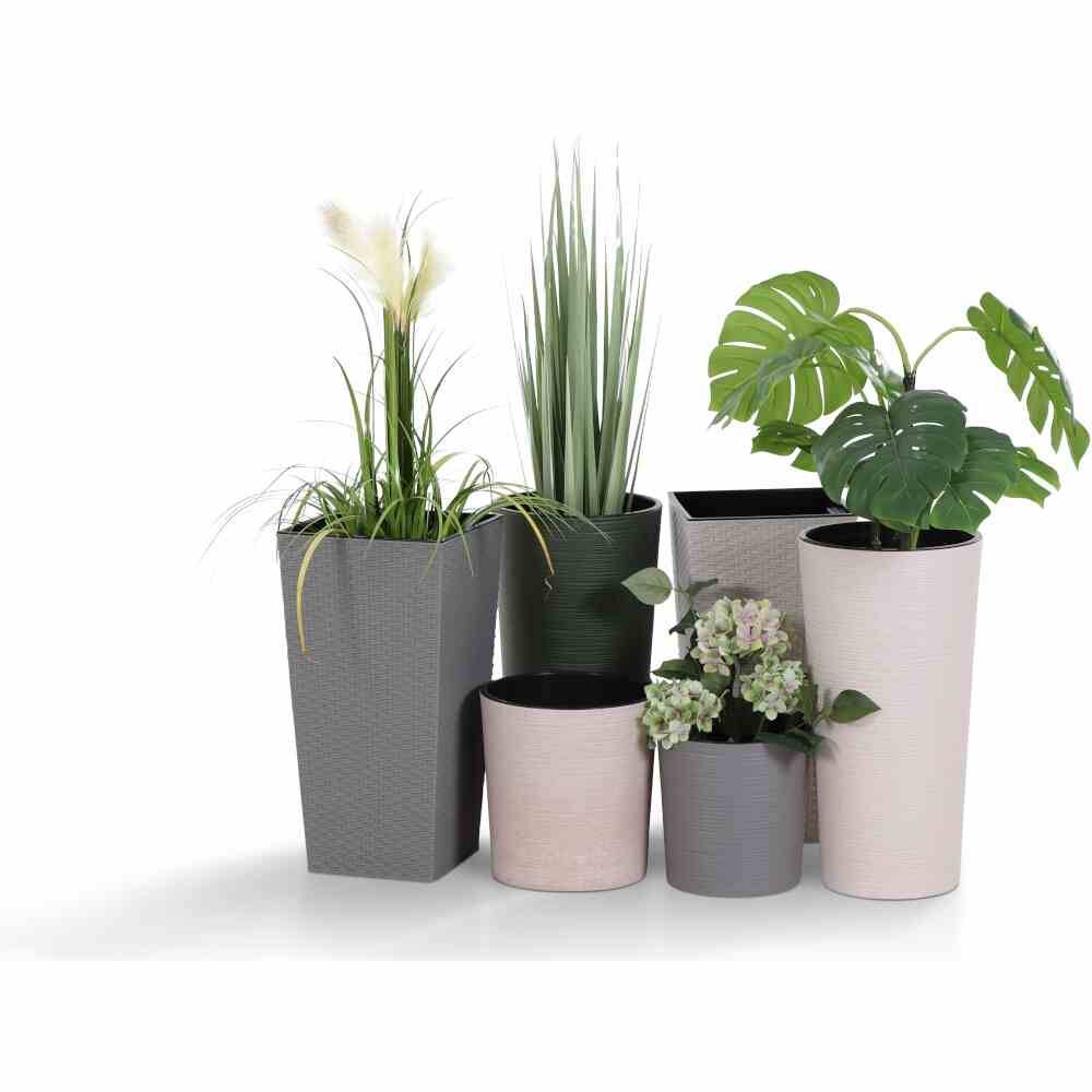 Różne rośliny ozdobne w nowoczesnymi doniczkach o zróżnicowanych rozmiarach, zgrupowane na białym tle.