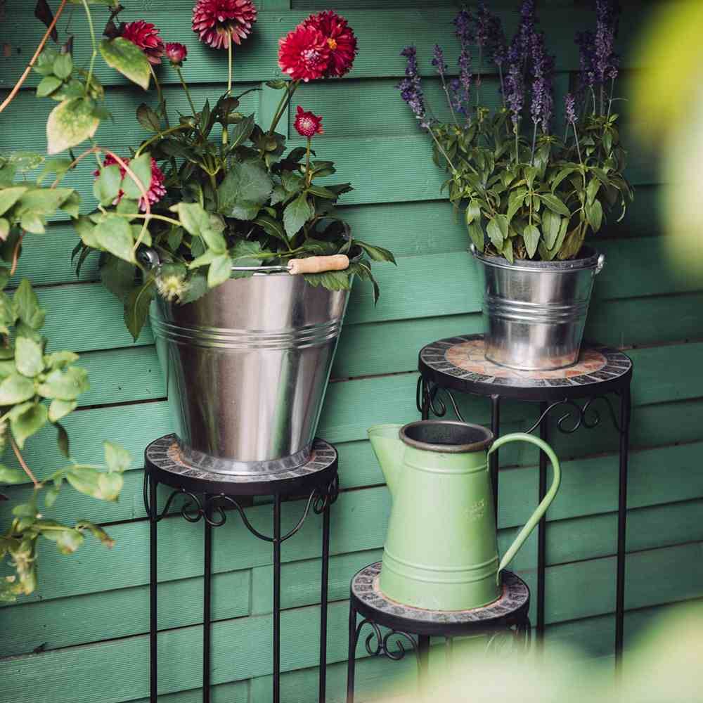 Rośliny w metalowych doniczkach na stojakach przed zieloną drewnianą ścianą; po lewej czerwone kwiaty, po prawej fioletowe kwiaty, na dole zielona konewka.