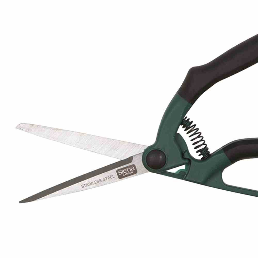 Zielone nożyczki z czarnymi uchwytami i ostrzami ze stali nierdzewnej w pozycji otwartej na białym tle.