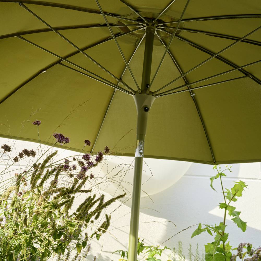 Zielony parasol wznosi się ponad kwitnącymi roślinami w słonecznym ogrodzie.