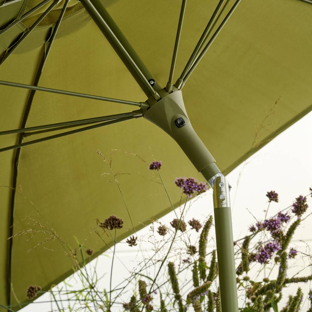 Zielony parasol nad kwitnącymi fioletowymi kwiatami w ogrodzie.