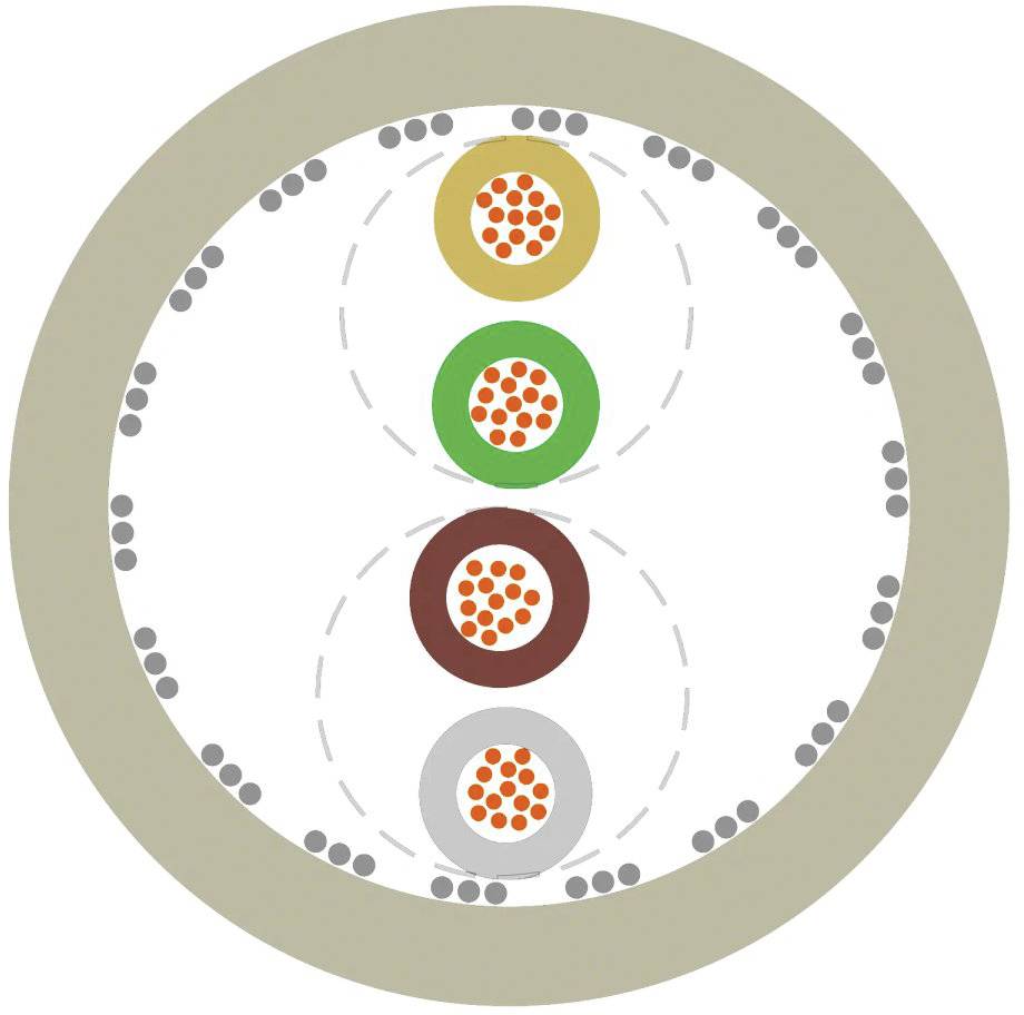 Diagram przedstawia cztery koncentryczne koła z kolorowymi punktami w środku, które ilustrują symetrię i strukturę.