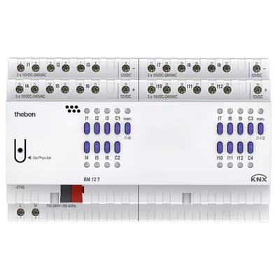 Rysunek elektronicznego urządzenia sterującego z wieloma złączami i oznaczeniami takimi jak '12VDC' i 'BM 12 T' do zarządzania napięciem.