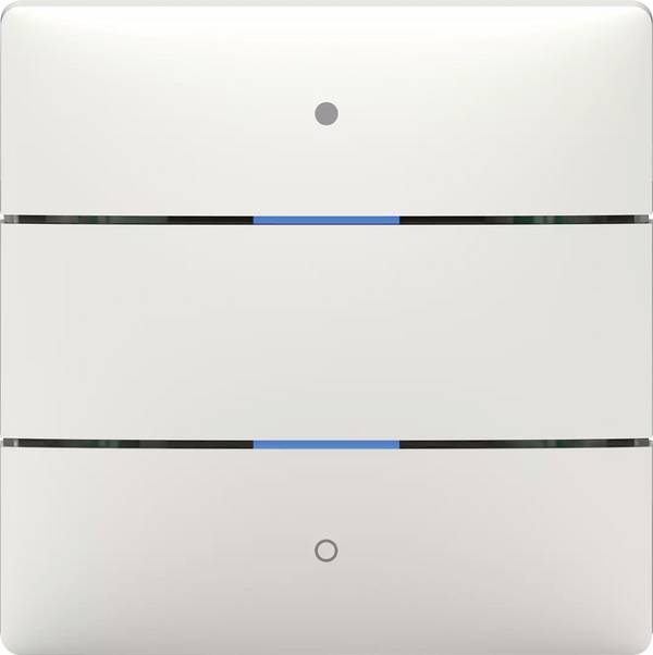 Czujnik dotykowy Theben 4969232   iON 102 KNX