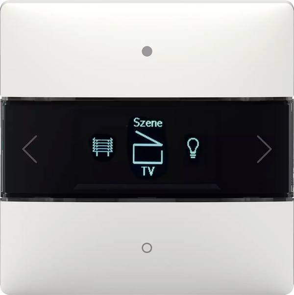 Kontroler Theben 4800418   LUXORliving iON8
