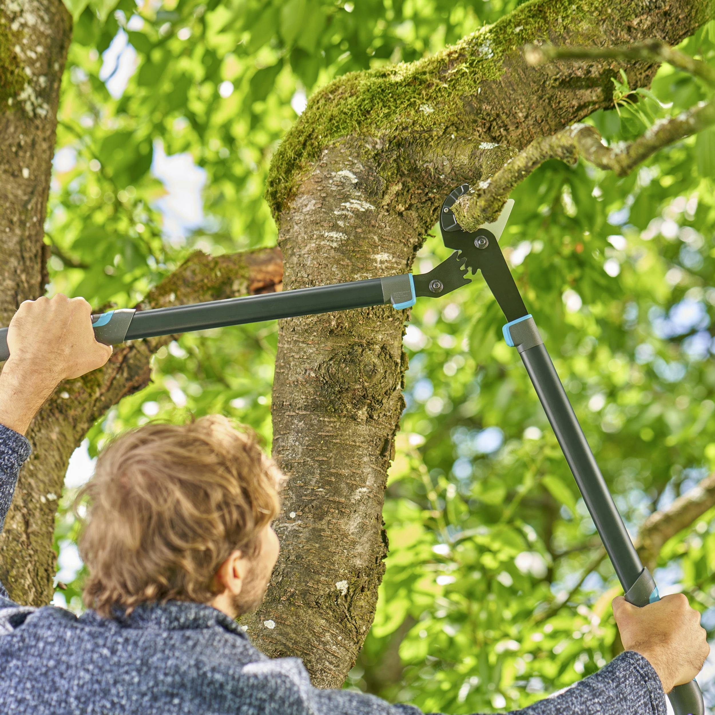 Mężczyzna przycina gałąź sekatorem. W tle widać zielone liście i błękitne niebo.