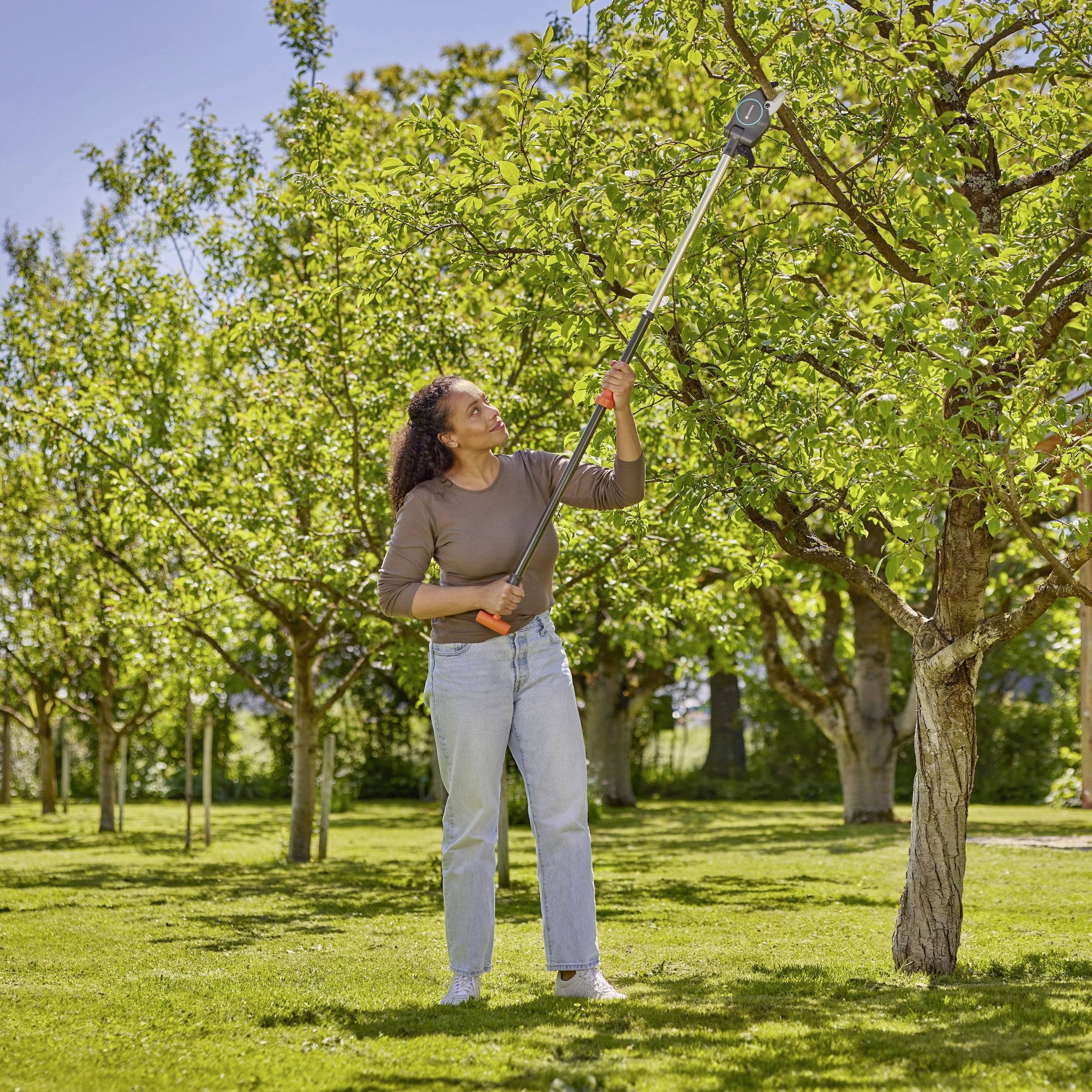 Kobieta przycina gałęzie teleskopowymi nożycami w słonecznym parku.