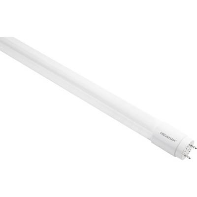 Biała lampa LED w kształcie rurki z dwoma metalowymi stykami na jednym końcu, przeznaczona do stosowania w oprawach świetlówkowych.