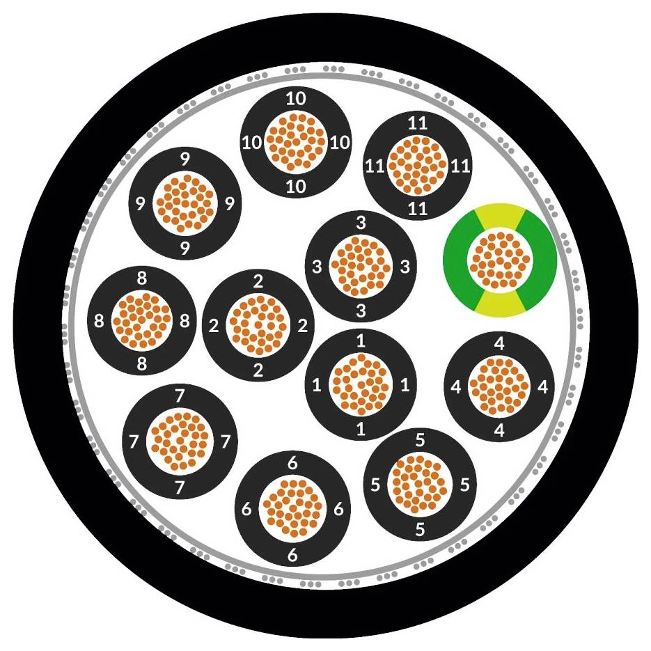 Przekrój poprzeczny kabla światłowodowego z dwunastoma wiązkami, ponumerowanymi od 1 do 12. Jedna wiązka wyróżniona na zielono. Każda wiązka posiada pomarańczowe punkty.