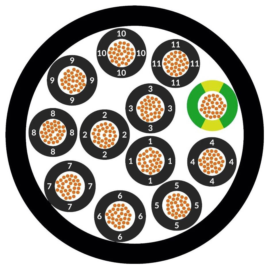 Przekrój poprzeczny wielożyłowego kabla z 12 numerowanymi przewodami, jeden z nich jest oznaczony kolorem zielonym.