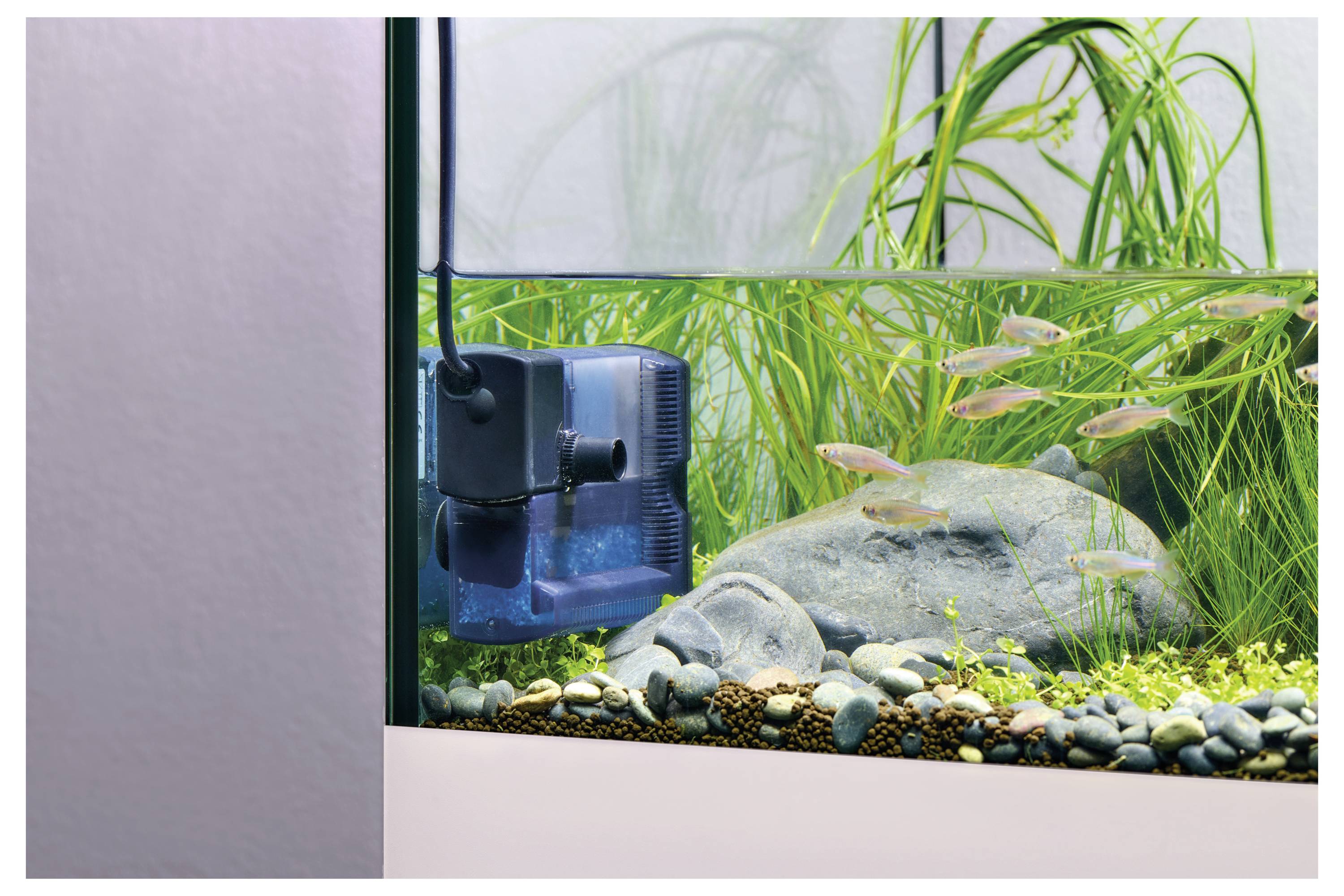 Внутрішній фільтр Eden WaterParadise 94142, підходить для акваріумів об'ємом до 50 л, 240 л/год