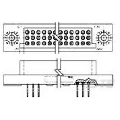 Diagram elektrycznego pinu przedstawiający widok z przodu i z boku. Na górze: 37-stykowa wtyczka z numerami pinów. Na dole: widok z boku z podłączeniem przewodu.