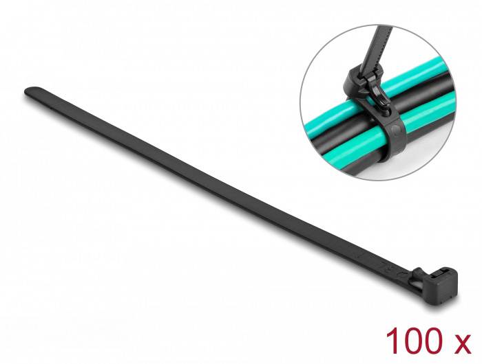 Кабельні стяжки Delock 19064, нейлонові, 100 шт.