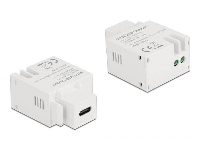 Delock 87792 Moduł USB Keystone Kabel 1 szt.-2