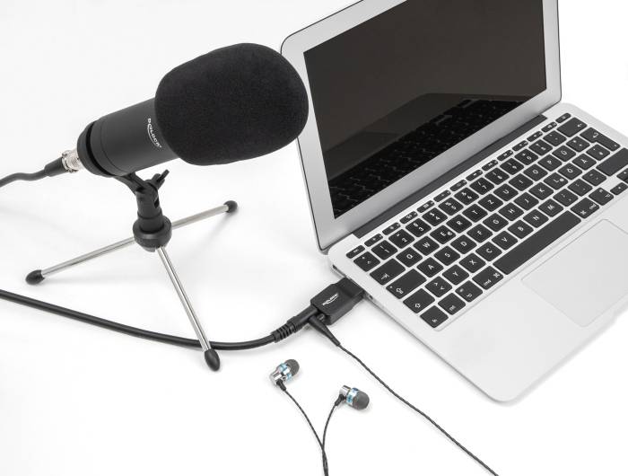 Зовнішня звукова карта Delock 66634, 1 шт.