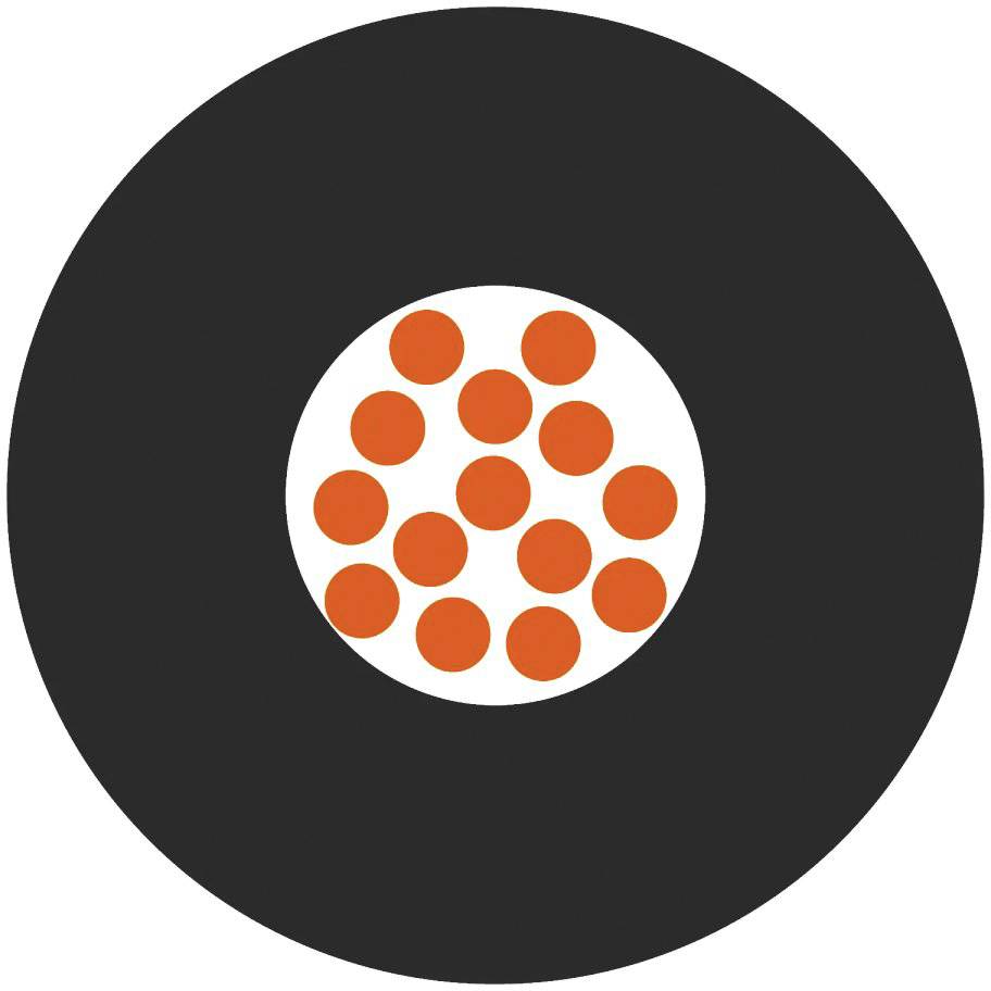 Czarny okrąg z białym centrum, wewnątrz którego znajduje się 13 pomarańczowych punktów w przypadkowym rozmieszczeniu. Symetryczny projekt, bez informacji tekstowej.