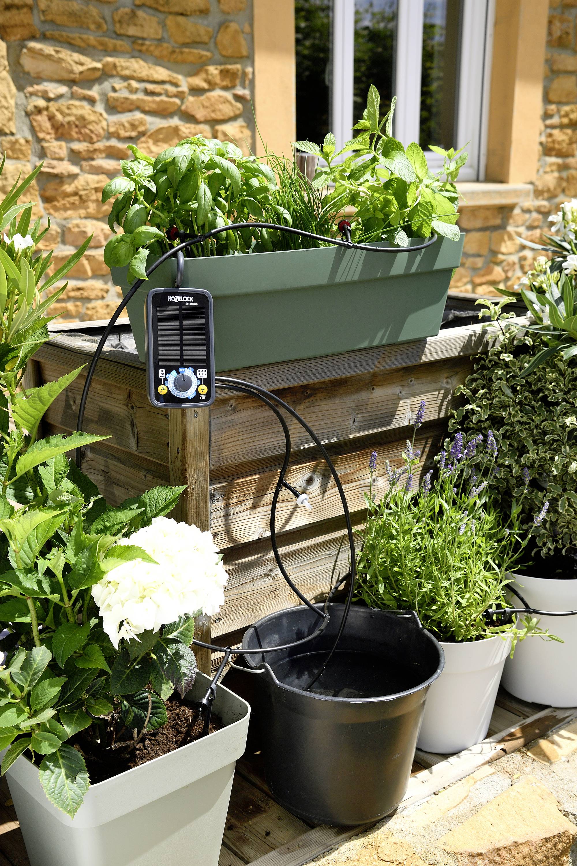 'Podwyższona grządka z zielonymi roślinami i systemem nawadniania na drewnianym tarasie. Kilka kwitnących roślin w doniczkach obok.'
