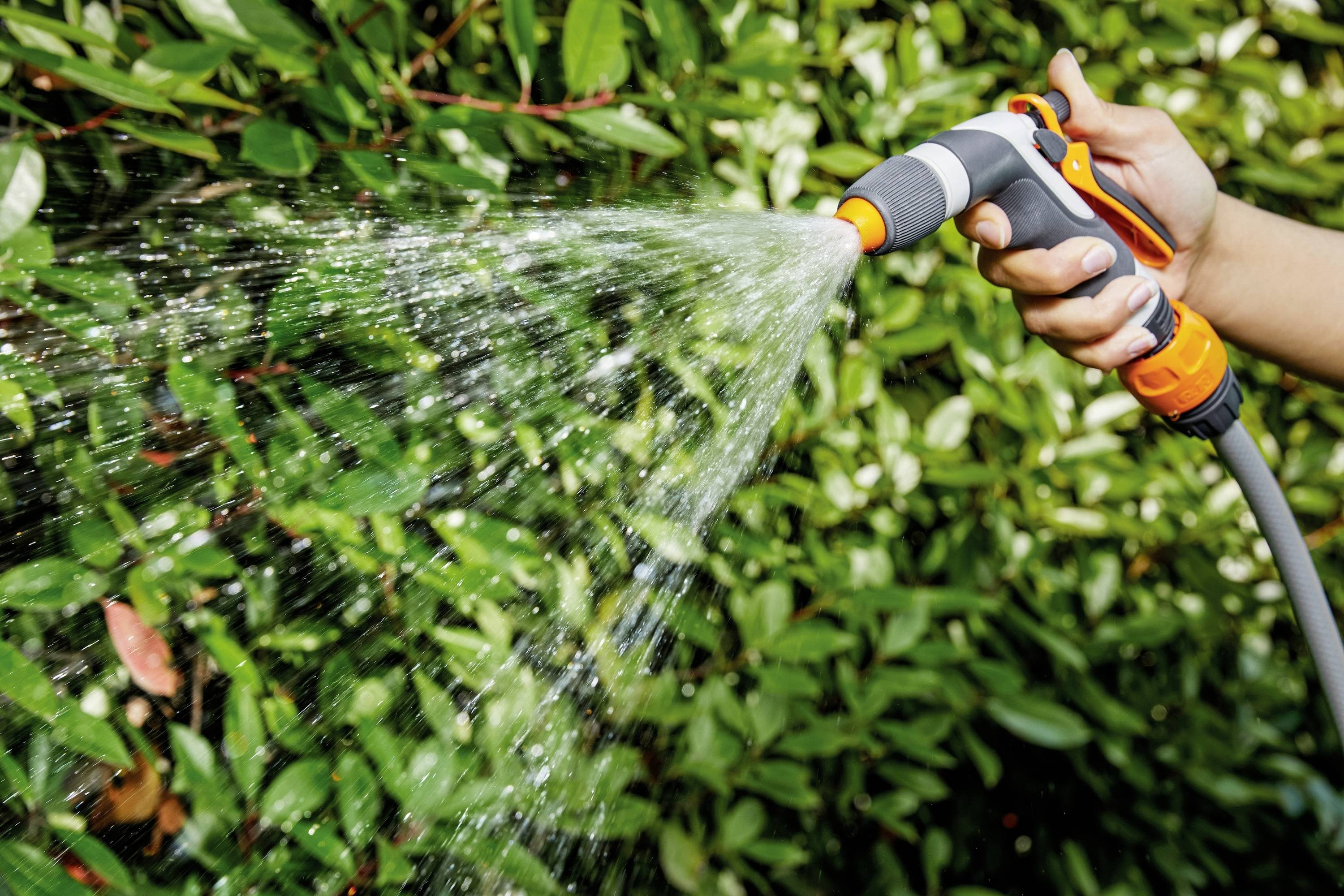 Osoba trzyma wąż ogrodowy i spryskuje wodą zielone liście.