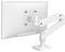 Metalowy, regulowany uchwyt monitora mocuje ekran. Ramię jest przymocowane do biurka i pozwala na elastyczne ustawienie.