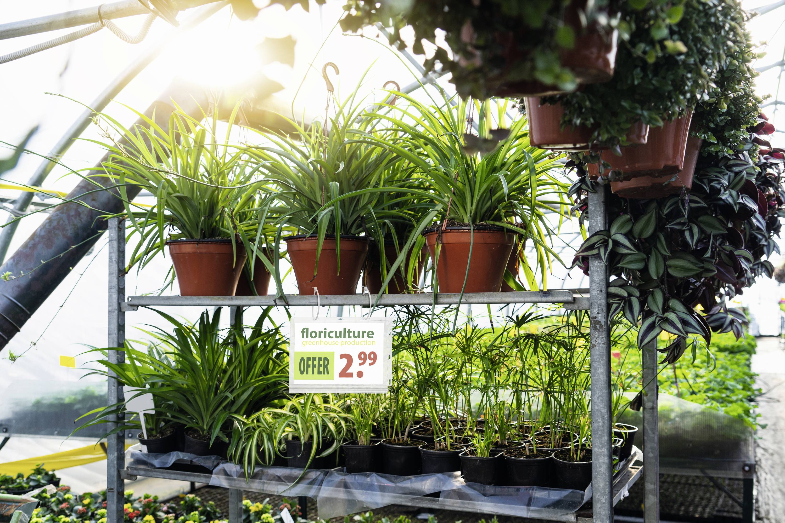 Міцний тримач для плакатів 505919