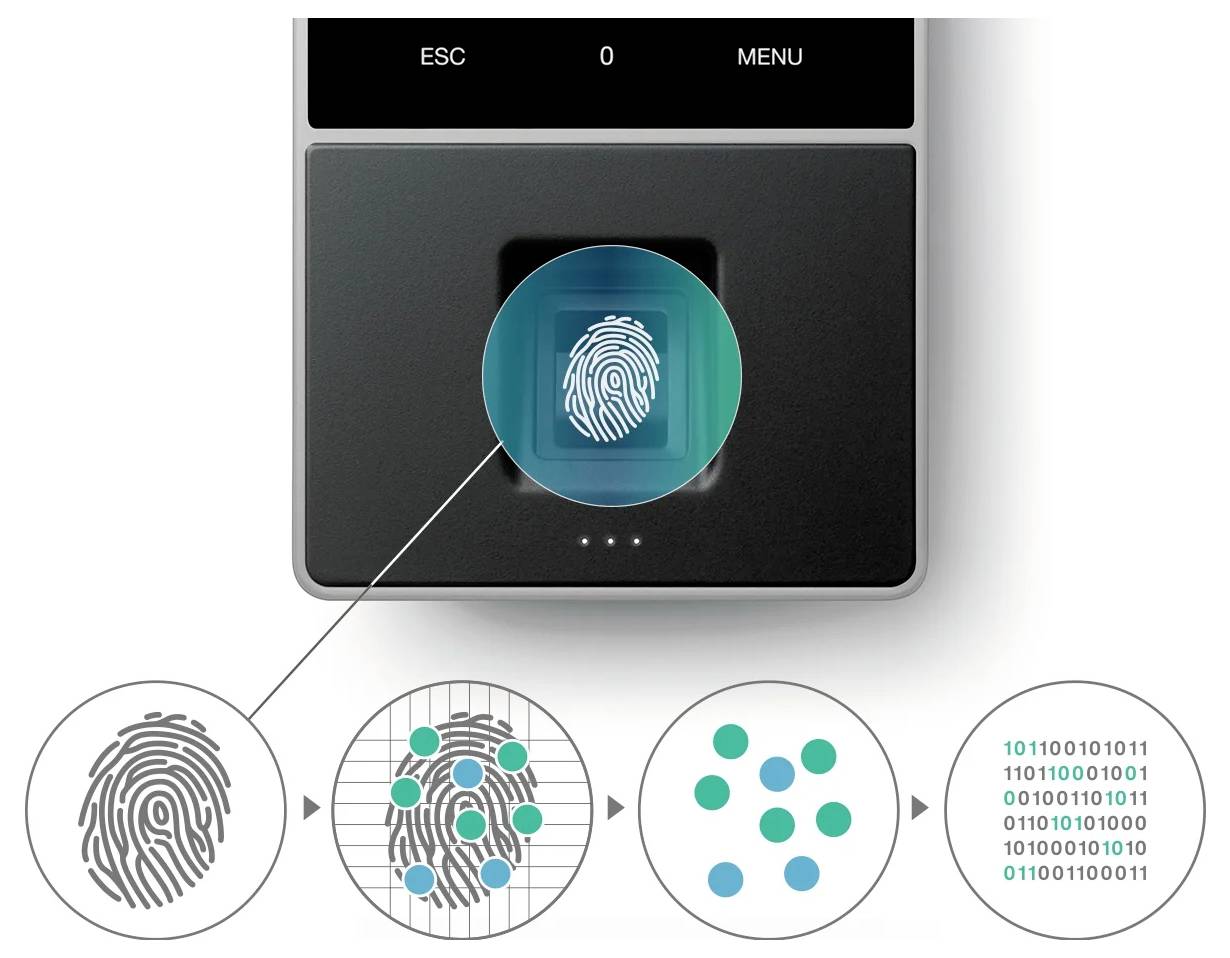 Skaner linii papilarnych z cyfrowym przedstawieniem odcisku palca. Prezentuje etapy przetwarzania obrazu na dane binarne.