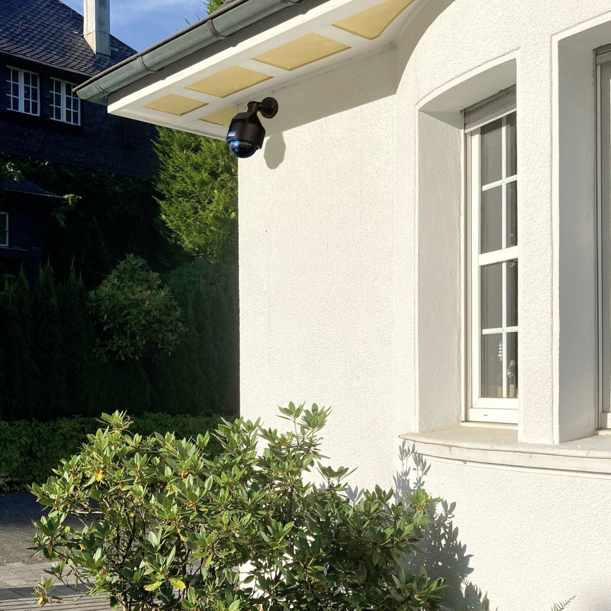 Przed białym domem z wieloszybowymi oknami i latarnią w pierwszym planie wyrastają zielone krzewy. W tle widać kolejny budynek.