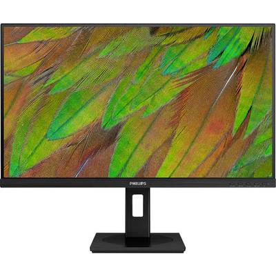 Monitor firmy Philips wyświetla kolorowe pióra papugi w intensywnych odcieniach zieleni, pomarańczy i brązu na ekranie.