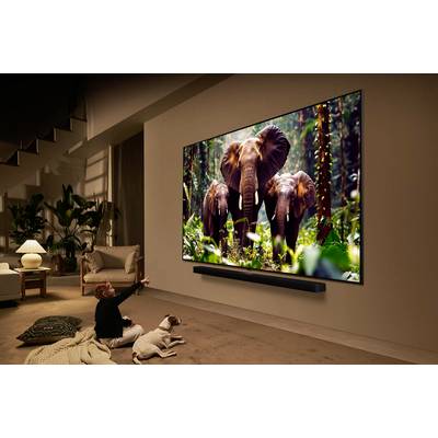 LG Electronics 4K QNED evo AI QNED85 QNED-TV 218 cm 86 cal EEK D (A - G) CI+, DVB-C, DVB-S, DVB-S2, DVB-T, DVB-T2, UHD, -4