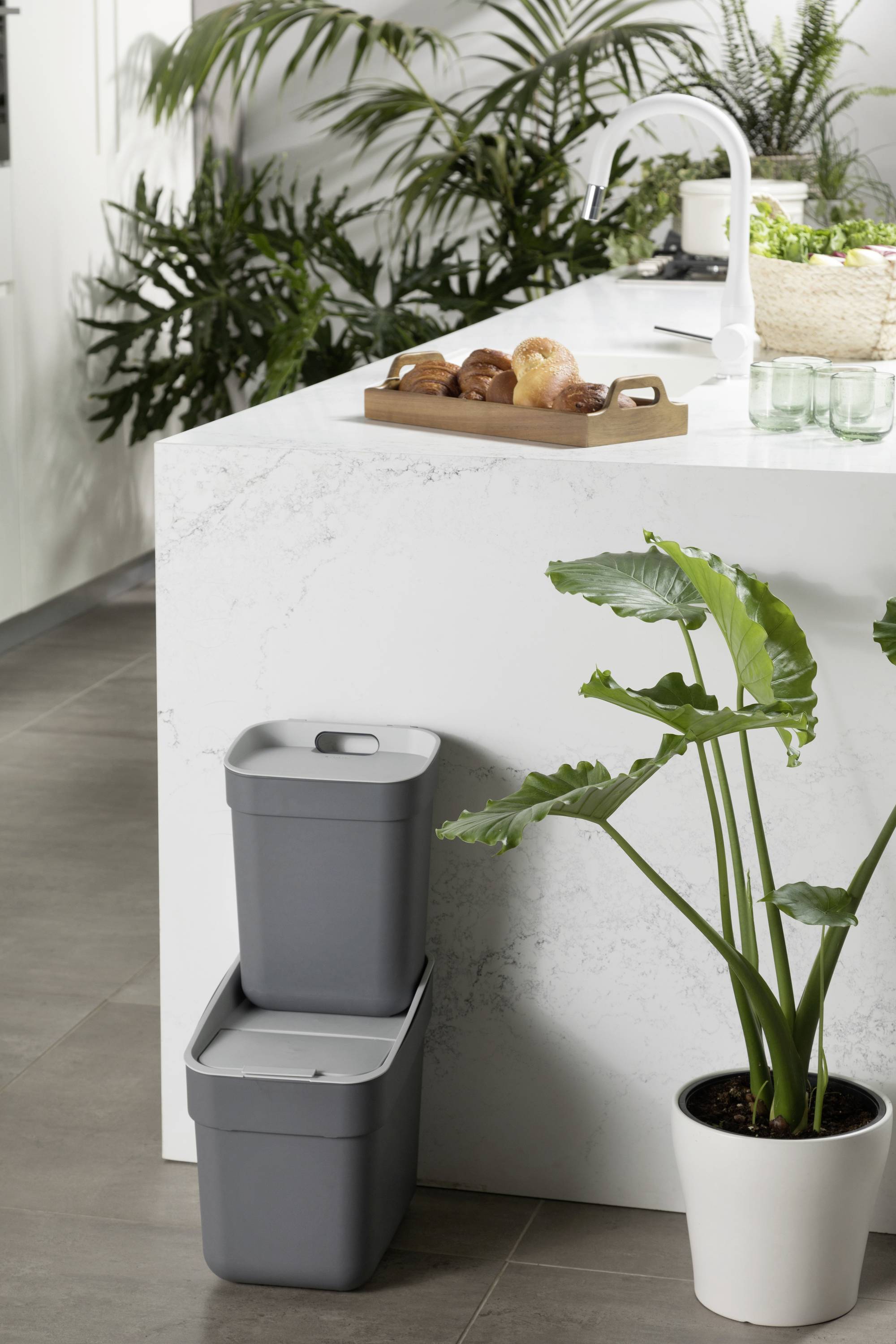 Szare kosze na śmieci ułożone jeden na drugim w nowoczesnej kuchni, obok dużej rośliny i blatu kuchennego z wypiekami.