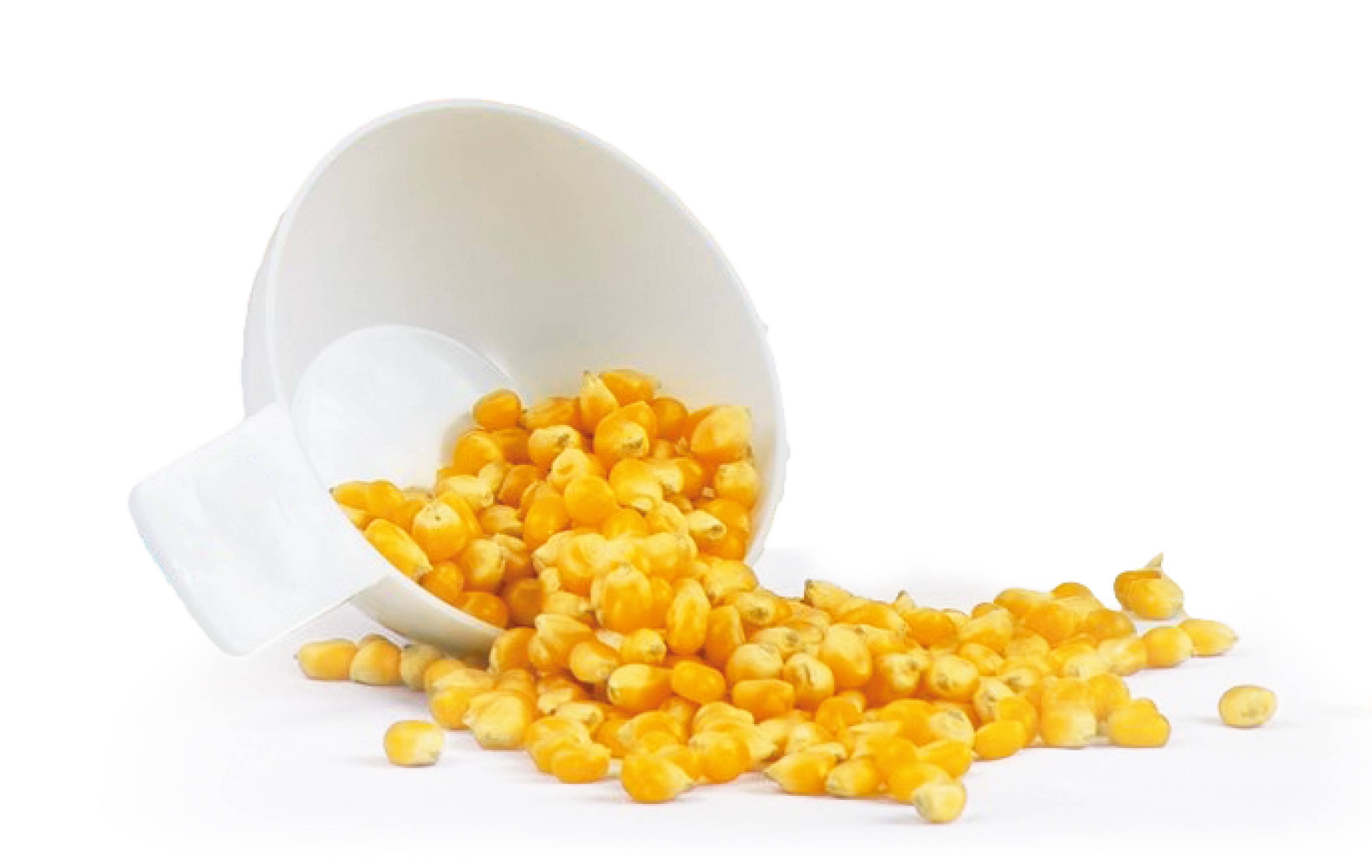 Biała filiżanka leżąca na boku, wypełniona żółtymi ziarnami kukurydzy, które wysypują się na białą powierzchnię.