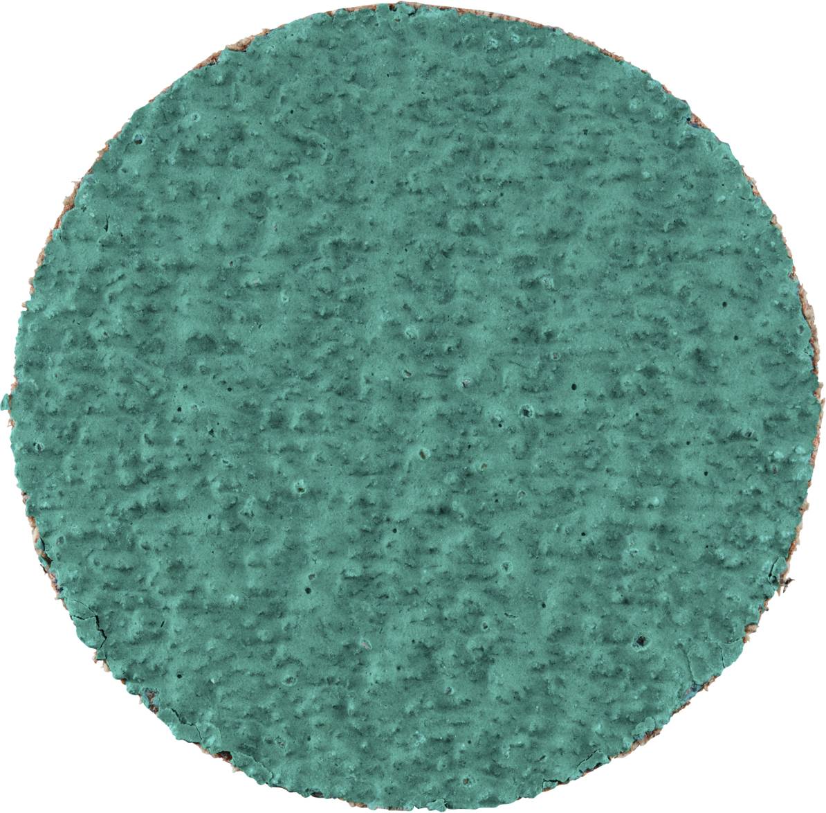 Okrągła, zielona tarcza szlifierska o szorstkiej powierzchni, prawdopodobnie używana do prac rzemieślniczych lub procesów polerowania.