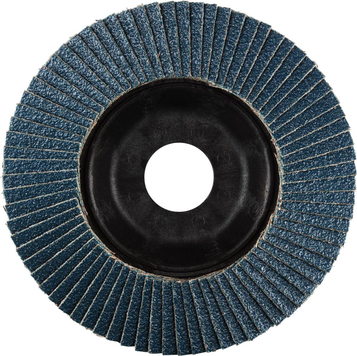 Диск пелюстковий Rhodius LSZ P1 202531 10 шт.