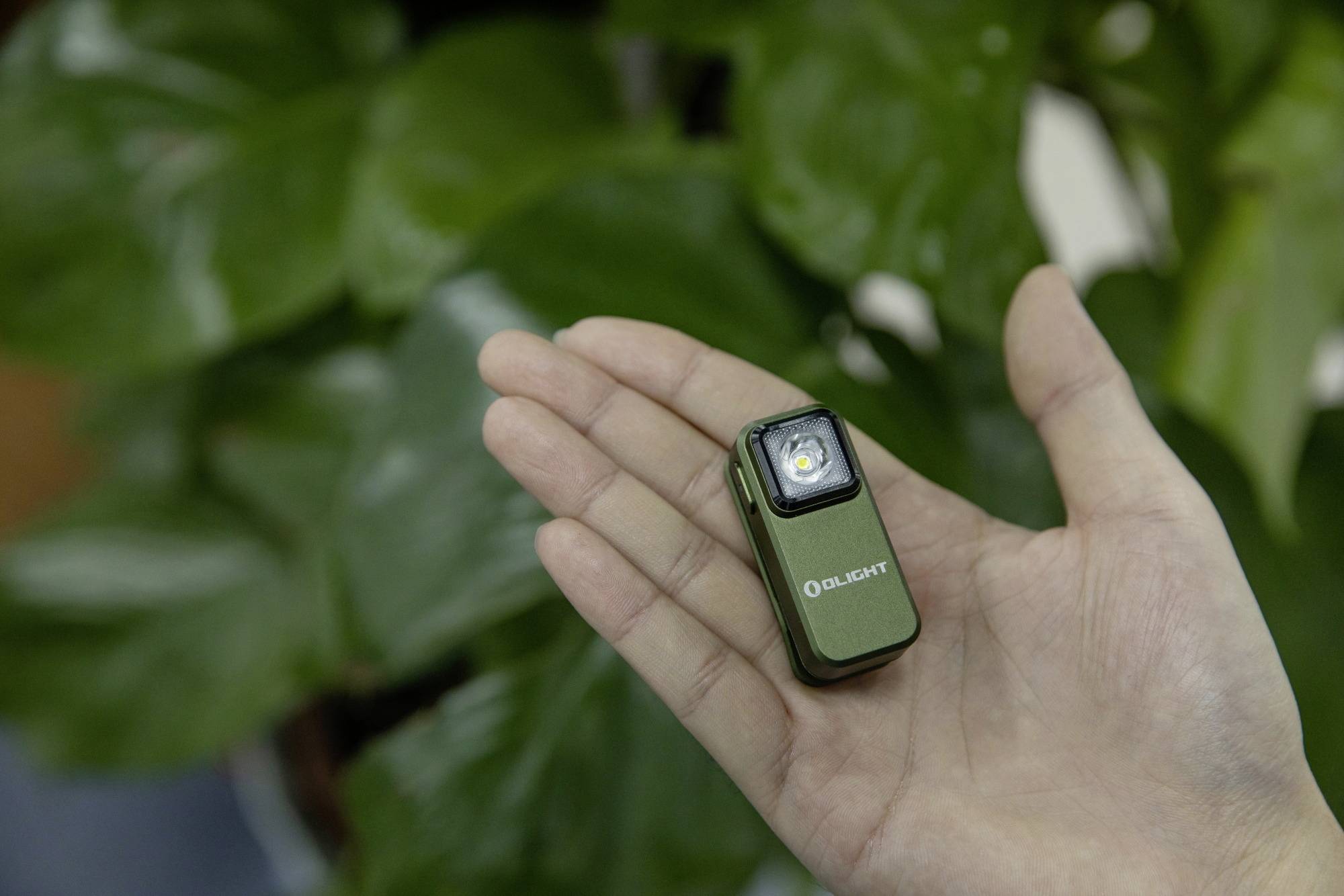 Ręka trzyma małą, zieloną latarkę na tle zielonych liści.