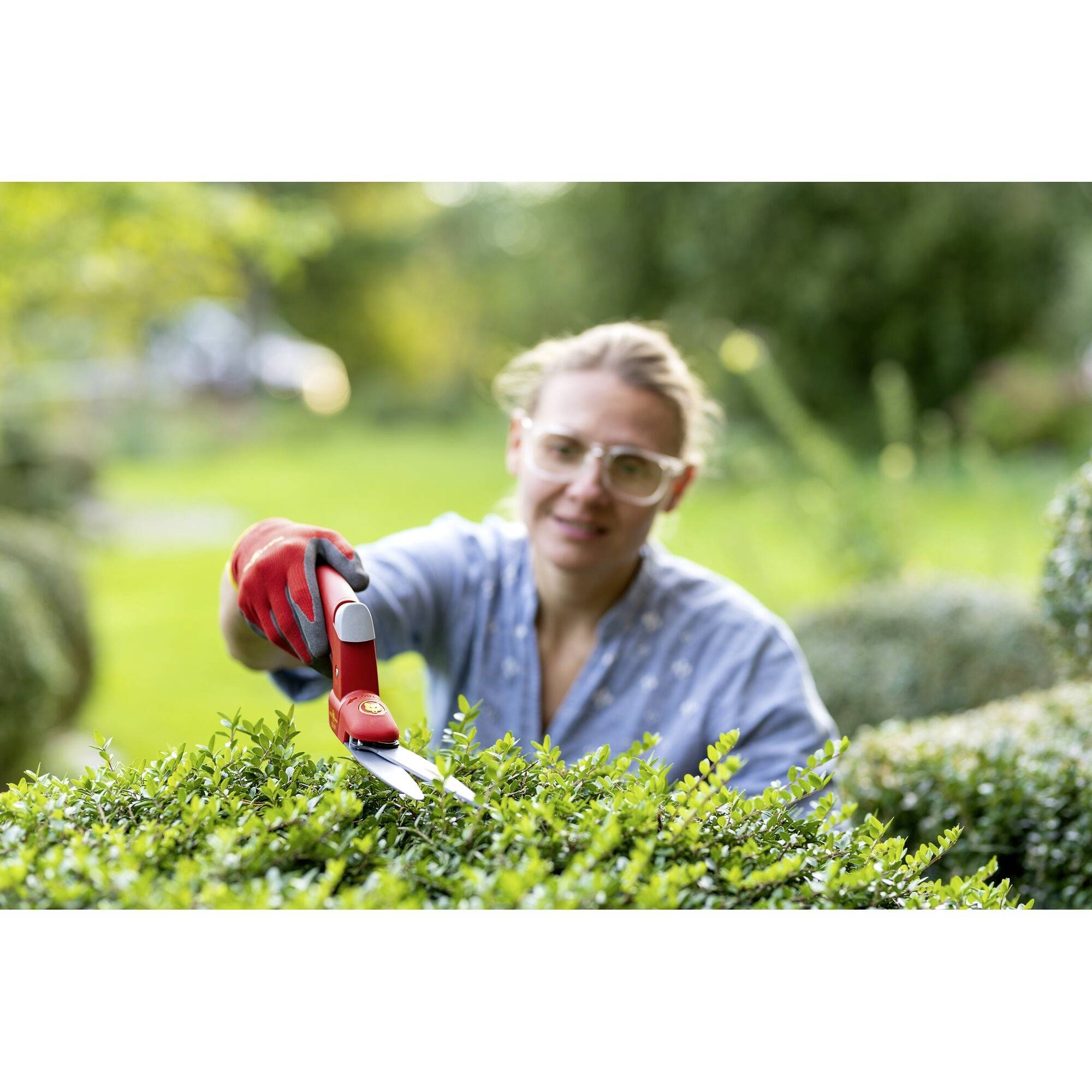 Osoba przycinająca żywopłot nożycami do żywopłotu w ogrodzie. Osoba nosi okulary i rękawice. W tle widać przyrodę.
