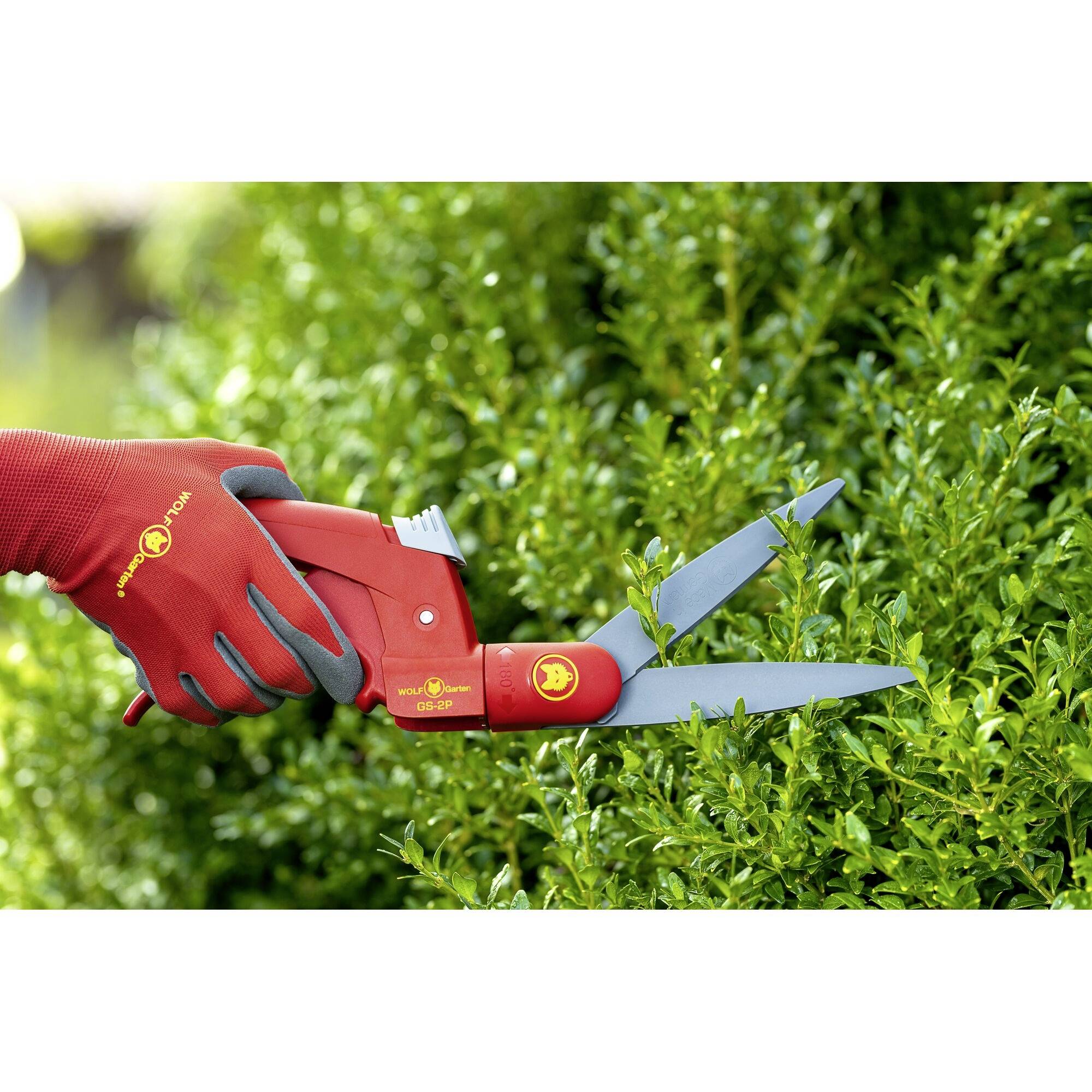 Dłoń w czerwonej rękawicy przycina żywopłot czerwonymi sekatorami. Sekatory są opatrzone logo marki narzędzi ogrodniczych.