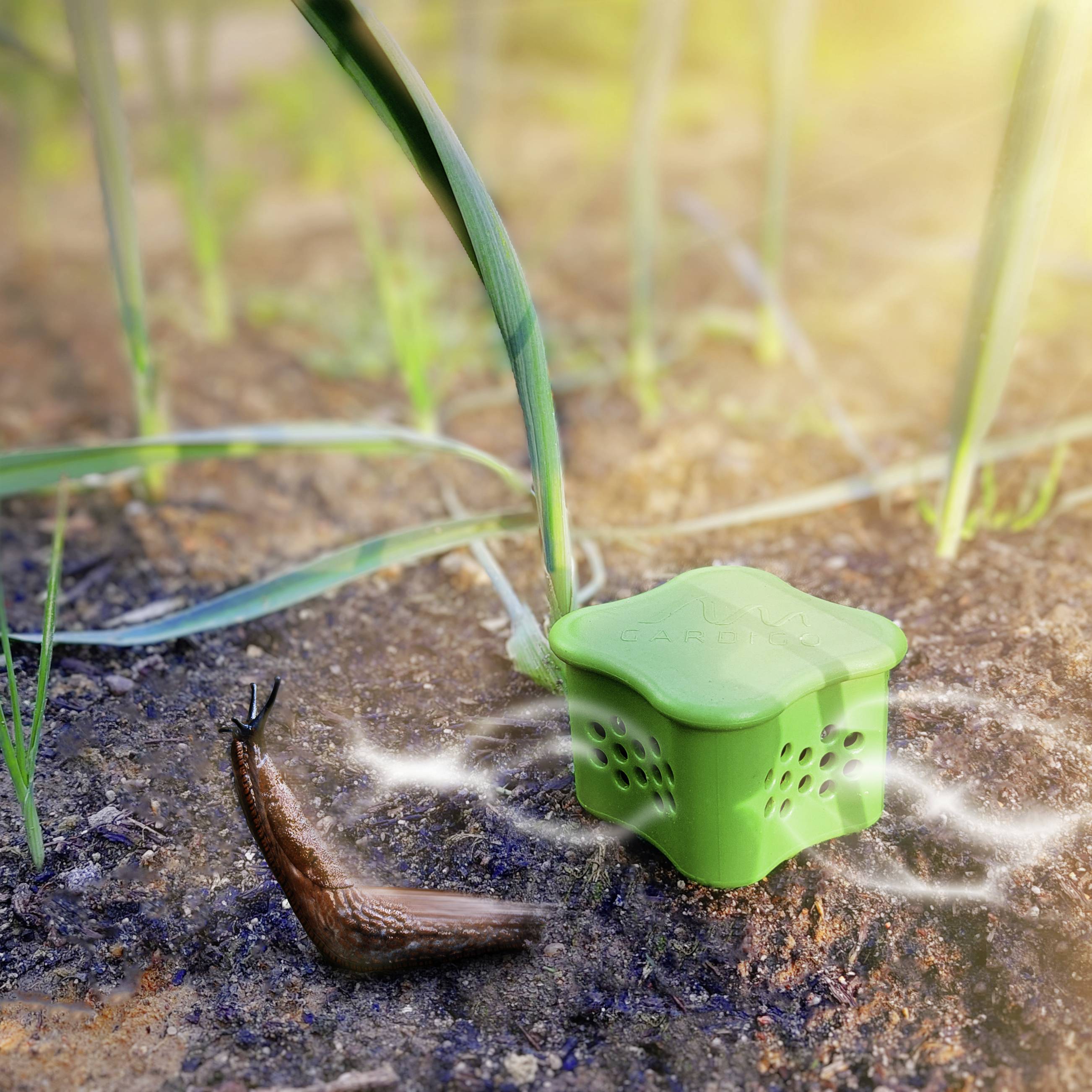 Zielony przyrząd stoi na ziemi obok ślimaka. Prawdopodobnie jest to środek ochrony przed ślimakami w ogrodzie. W tle rosną trawy.