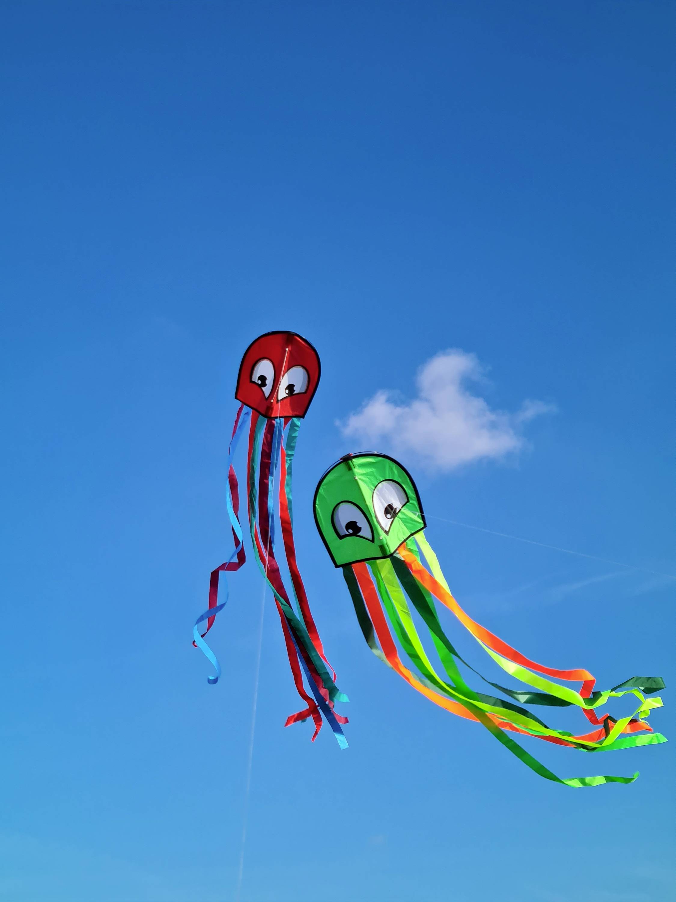 Однолінійний повітряний змій Günther Flugspiele 1163